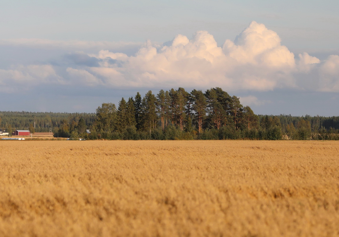 JSK22642_r2_1152x768